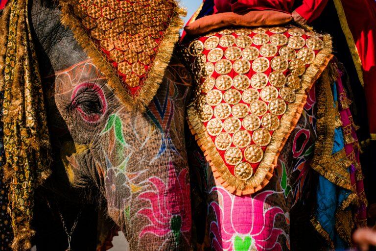 Elephant in Dream? Why It Is Usually a Sign of Big Luck
