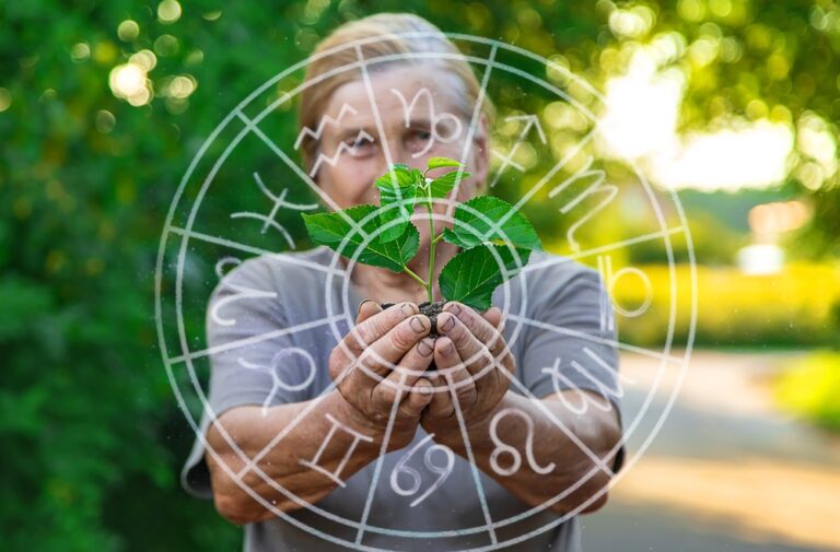 Perfect Plant for Each Zodiac Sign : World Environment Day Special